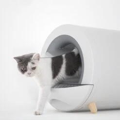 XL Kattenbak - Tunnel Met Geurfilter En Lade - Design Kattenbak -Kattenbenodigdheden 1200x1200 383