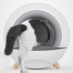XL Kattenbak - Tunnel Met Geurfilter En Lade - Design Kattenbak -Kattenbenodigdheden 1200x1200 384