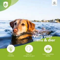 Essential Link Teken- En Vlooienband - Vlooienband Kat/Hond – Anti Vlooien – Vlooienmiddel - Tekenband - Diervriendelijk 13 Essential Link Teken- En Vlooienband - Vlooienband Kat/Hond – Anti Vlooien – Vlooienmiddel - Tekenband - Diervriendelijk -Kattenbenodigdheden 1200x1200 39
