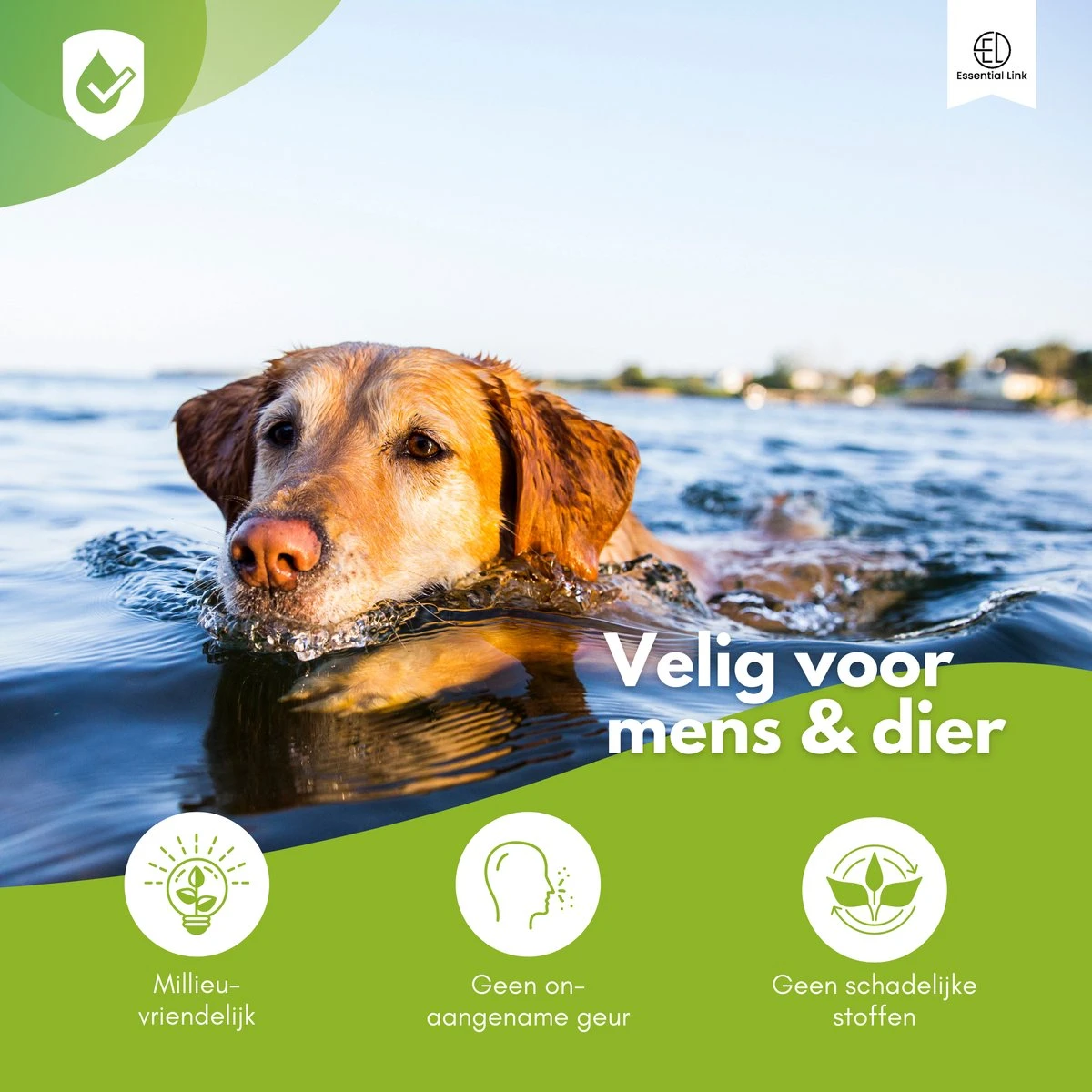 Essential Link Teken- En Vlooienband - Vlooienband Kat/Hond – Anti Vlooien – Vlooienmiddel - Tekenband - Diervriendelijk 7 Essential Link Teken- En Vlooienband - Vlooienband Kat/Hond – Anti Vlooien – Vlooienmiddel - Tekenband - Diervriendelijk - Afbeelding 5