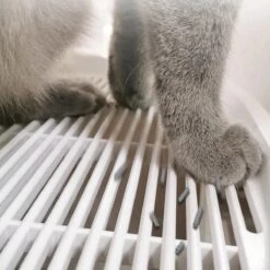 Skipoo Kattenbak Space Series - Kattenmand Met Lade - Inclusief Kattenbak Schep - Grote Kattenbak 14 Skipoo Kattenbak Space Series - Kattenmand Met Lade - Inclusief Kattenbak Schep - Grote Kattenbak -Kattenbenodigdheden 1200x1200 393