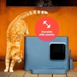 Hoopo® Dome Plus Kattenbak Grijs - Kattenbak - Kattenbakschep - 50x37.5x38cm - Grote Kattenbak 16 Hoopo® Dome Plus Kattenbak Grijs - Kattenbak - Kattenbakschep - 50x37.5x38cm - Grote Kattenbak -Kattenbenodigdheden 1200x1200 396