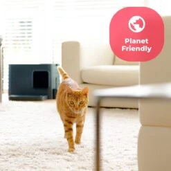 Hoopo® Dome Plus Kattenbak Grijs - Kattenbak - Kattenbakschep - 50x37.5x38cm - Grote Kattenbak 19 Hoopo® Dome Plus Kattenbak Grijs - Kattenbak - Kattenbakschep - 50x37.5x38cm - Grote Kattenbak -Kattenbenodigdheden 1200x1200 397