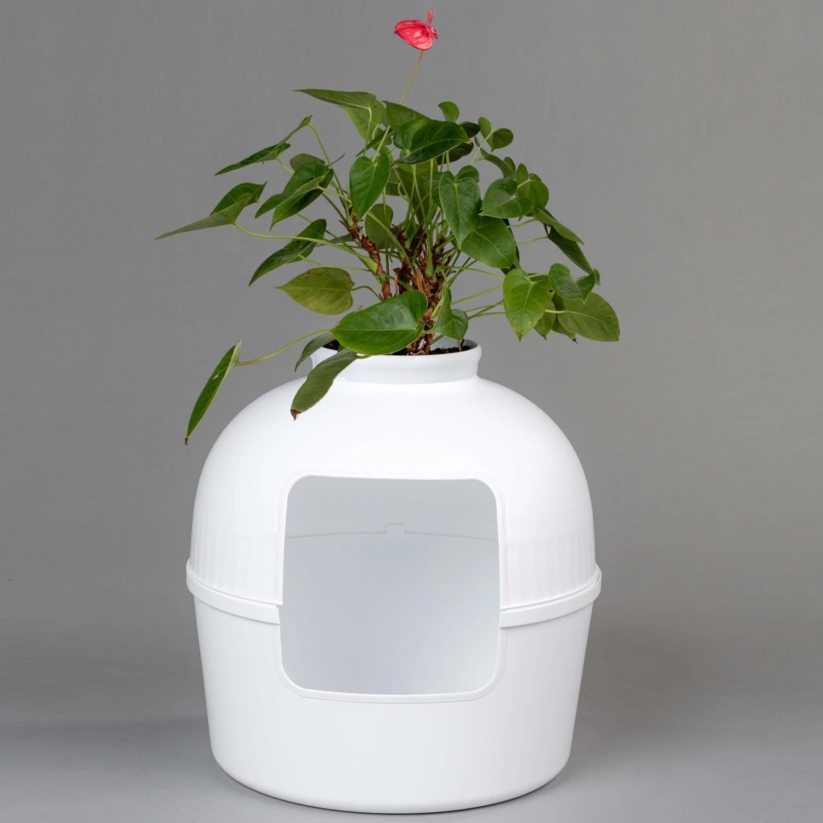 XXL Kattenbak – Verborgen Kattentoilet – Flower XXL Wit Voor Grote Katten Van RHRQuality 7 XXL Kattenbak – Verborgen Kattentoilet – Flower XXL Wit Voor Grote Katten Van RHRQuality - Afbeelding 5