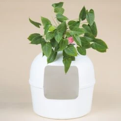 XXL Kattenbak – Verborgen Kattentoilet – Flower XXL Wit Voor Grote Katten Van RHRQuality 17 XXL Kattenbak – Verborgen Kattentoilet – Flower XXL Wit Voor Grote Katten Van RHRQuality -Kattenbenodigdheden 1200x1200 404