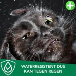 Teken- En Vlooienband Voor Katten PLUS - Natuurlijk Middel Tegen Vlooien En Teken - 100% Natuurlijk - 38,5 CM - Tot 8 Maand Werkzaam - Biologisch -Kattenbenodigdheden 1200x1200 41