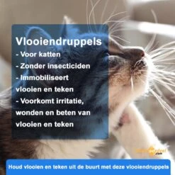 Anti-parasitaire Druppels Tegen Vlooien, Teken, Mijten En Luizen - Voor Katten Vanaf 12 Weken 8 Anti-parasitaire Druppels Tegen Vlooien, Teken, Mijten En Luizen - Voor Katten Vanaf 12 Weken -Kattenbenodigdheden 1200x1200 42