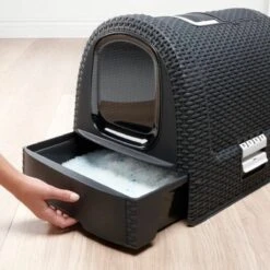 Curver Kattenbak - Antraciet - 51 X 38,5 X 39,5 Cm -Kattenbenodigdheden 1200x1200 431