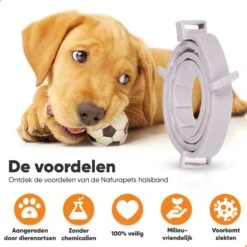 Nafurapets Vlooienband Voor Hond – Anti Vlooien – Teken Band – 100% Natuurlijk – 8 Maanden Bescherming – Grote & Kleine Hond -Kattenbenodigdheden 1200x1200 45