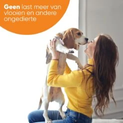 Nafurapets Vlooienband Voor Hond – Anti Vlooien – Teken Band – 100% Natuurlijk – 8 Maanden Bescherming – Grote & Kleine Hond -Kattenbenodigdheden 1200x1200 48