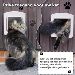 DOWO® - Kattenklep - Kattenluik - Kattenluikje - 4-weg Huisdierklep, Eenvoudige Installatie Kattendeur Huisdierendeur Aan De Muur, Houten Deur, Upvc Binnendeur, Baksteenwanden, Houten Deuren (M - Buitenmaat 20x22 Cm) -Kattenbenodigdheden 1200x1200 499