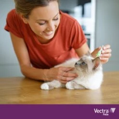 VECTRA Felis - Vlooiendruppels - Voor Katten 0.6 T/m 10 Kg - 3 Pipetten -Kattenbenodigdheden 1200x1200 57