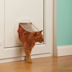 Petsafe 200 Kattenluik - Wit - L - 29,4 X 29,5 X 5 Cm 22 Petsafe 200 Kattenluik - Wit - L - 29,4 X 29,5 X 5 Cm -Kattenbenodigdheden 1200x1200 603