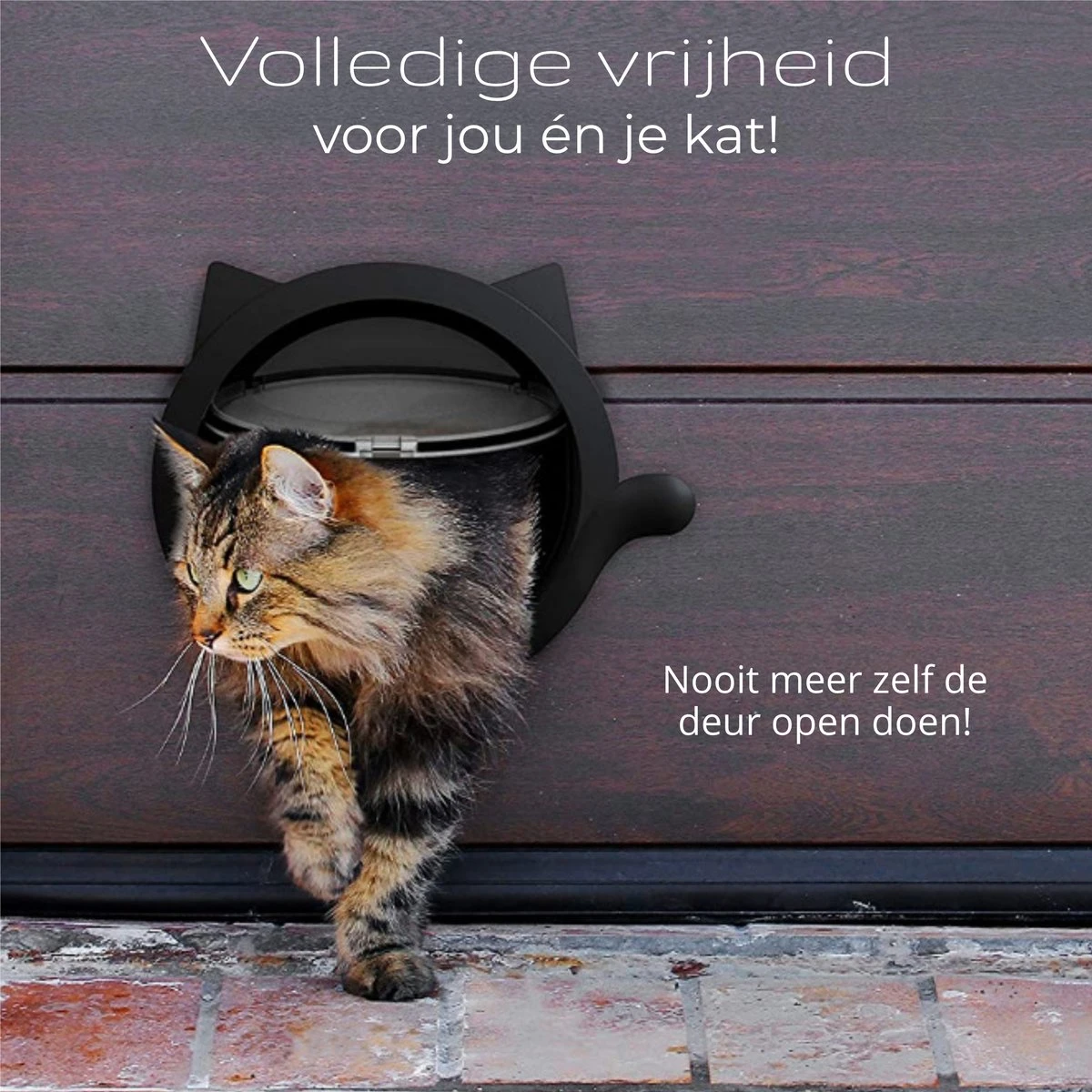 Cellavi XL Kattenluik Zwart Met Tunnel - Hondenluik - 4 Vergrendelingsstanden - 30,5 X 27,5 X 7,5 Cm 5 Cellavi XL Kattenluik Zwart Met Tunnel - Hondenluik - 4 Vergrendelingsstanden - 30,5 X 27,5 X 7,5 Cm - Afbeelding 3