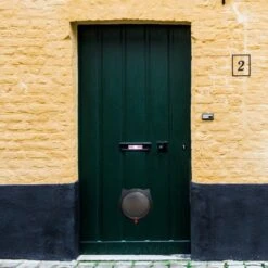 Cellavi XL Kattenluik Zwart Met Tunnel - Hondenluik - 4 Vergrendelingsstanden - 30,5 X 27,5 X 7,5 Cm 13 Cellavi XL Kattenluik Zwart Met Tunnel - Hondenluik - 4 Vergrendelingsstanden - 30,5 X 27,5 X 7,5 Cm -Kattenbenodigdheden 1200x1200 608