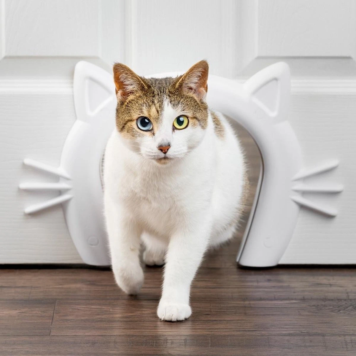 PetSafe Staywell® Cat Corridor - Kattendoorgang Voor Binnenshuis - Overschilderbaar Design - Voor Katten Tot 9 Kg - Staywell Cat Corridor 5 PetSafe Staywell® Cat Corridor - Kattendoorgang Voor Binnenshuis - Overschilderbaar Design - Voor Katten Tot 9 Kg - Staywell Cat Corridor - Afbeelding 3