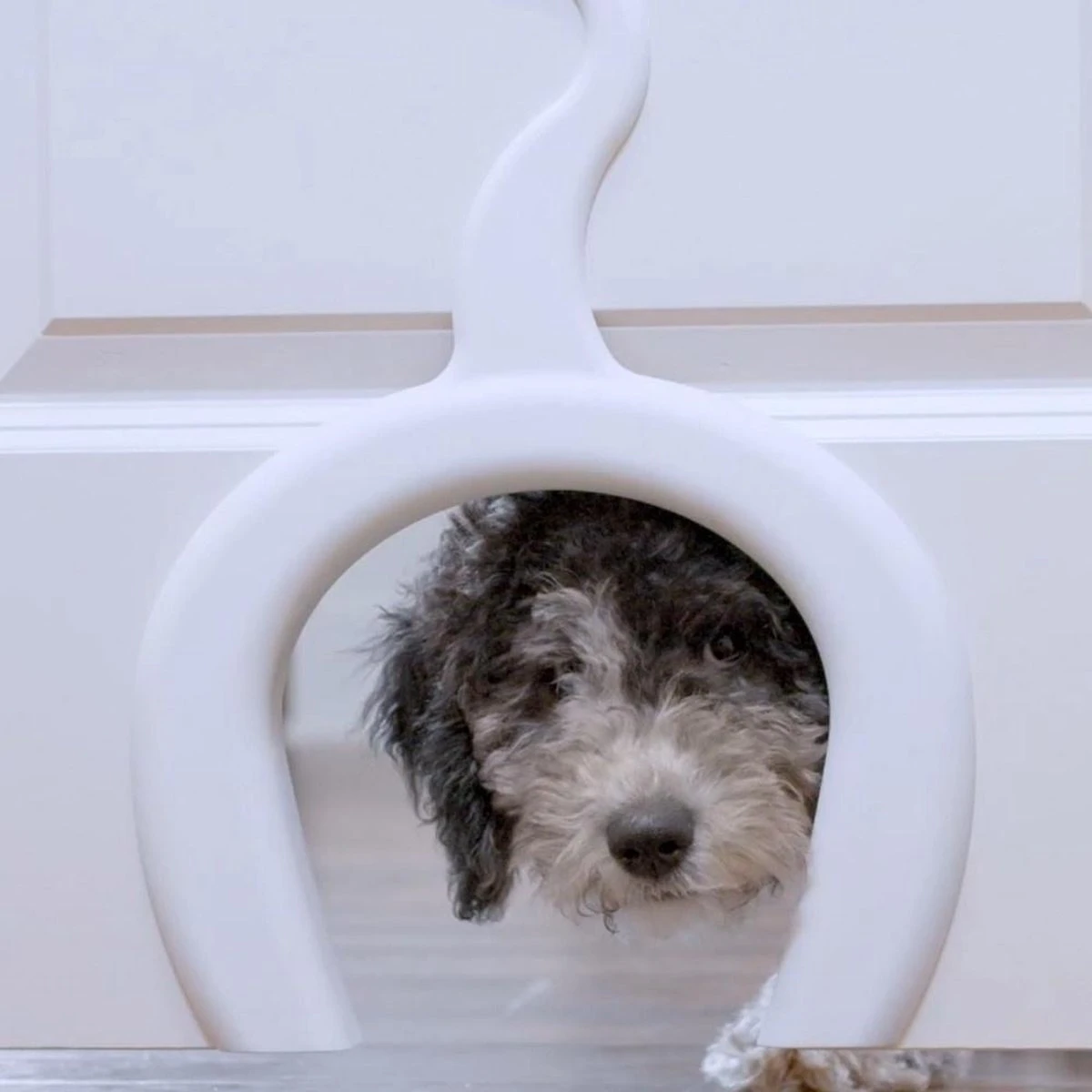 PetSafe Staywell® Cat Corridor - Kattendoorgang Voor Binnenshuis - Overschilderbaar Design - Voor Katten Tot 9 Kg - Staywell Cat Corridor 7 PetSafe Staywell® Cat Corridor - Kattendoorgang Voor Binnenshuis - Overschilderbaar Design - Voor Katten Tot 9 Kg - Staywell Cat Corridor - Afbeelding 5