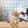 Kattennet Premium EXTRA STEVIG - 600 X 300 CM - Kattennet Voor Balkon - Zwart - Balkon Net - Makkelijk Te Monteren 1 Kattennet Premium EXTRA STEVIG - 600 X 300 CM - Kattennet Voor Balkon - Zwart - Balkon Net - Makkelijk Te Monteren -Kattenbenodigdheden 1200x1200 616