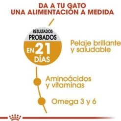 Royal Canin Hair & Skin Care - Kattenvoer - 2 Kg -Kattenbenodigdheden 1200x1200 64