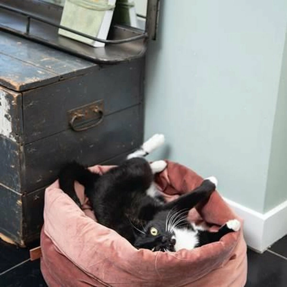 Designed By Lotte Kattenmand Fluweel Fluco Grijs 45 X 45 X 35 Cm 4 Designed By Lotte Kattenmand Fluweel Fluco Grijs 45 X 45 X 35 Cm - Afbeelding 2