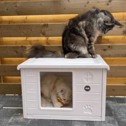 RHRQuality Kattenhuis Voor Binnen En Buiten Kattenhok Villa De Luxe Wit 60cm 12 RHRQuality Kattenhuis Voor Binnen En Buiten Kattenhok Villa De Luxe Wit 60cm -Kattenbenodigdheden 1200x1200 680