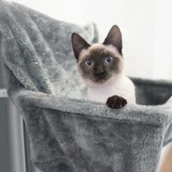 Navaris Hangmat Radiator Voor Katten - Kattenmand Voor Aan De Verwarming - Inclusief Uitneembaar Kussen - Tot 6 Kg 11 Navaris Hangmat Radiator Voor Katten - Kattenmand Voor Aan De Verwarming - Inclusief Uitneembaar Kussen - Tot 6 Kg -Kattenbenodigdheden 1200x1200 687
