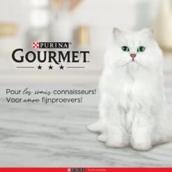 Purina One Purina Gourmet Perle - Mini Filets In Saus - Kalkoen Eend Tonijn & Lam - 40x85g -Kattenbenodigdheden 1200x1200 69