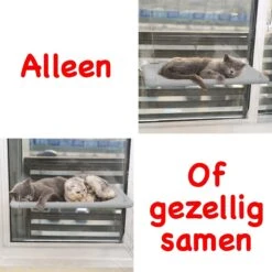 Merkloos Kattenhangmat - Kattenbed - Hangmat Kat Raam Ook Voor Radiator En Deur - Kattenmand Raam En Radiator - Katten Hangmat - Radiatorhangmat Kat Kattenstoel - Tijdelijk Met Extra Hangmat Hoes 18 Merkloos Kattenhangmat - Kattenbed - Hangmat Kat Raam Ook Voor Radiator En Deur - Kattenmand Raam En Radiator - Katten Hangmat - Radiatorhangmat Kat Kattenstoel - Tijdelijk Met Extra Hangmat Hoes -Kattenbenodigdheden 1200x1200 695