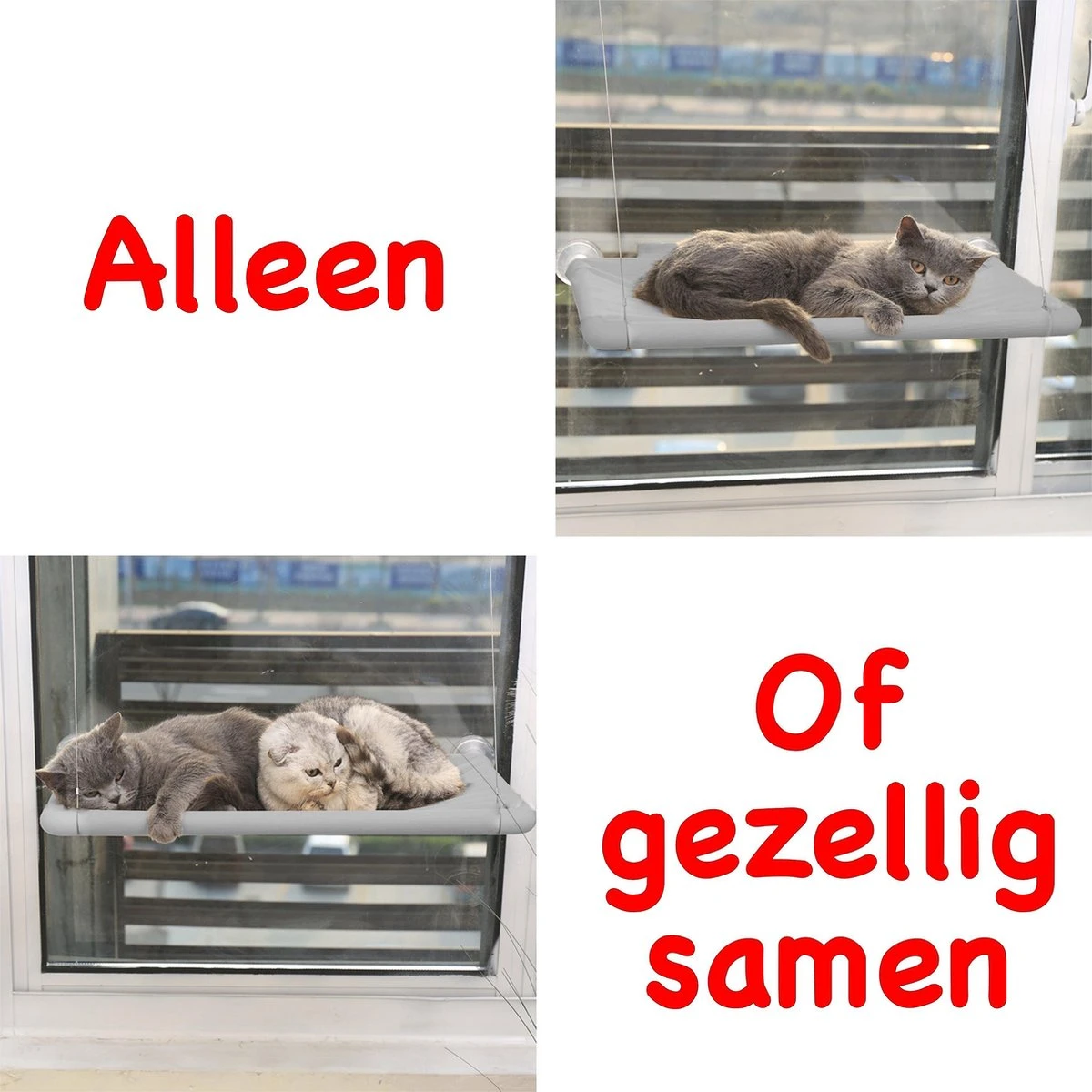 Merkloos Kattenhangmat - Kattenbed - Hangmat Kat Raam Ook Voor Radiator En Deur - Kattenmand Raam En Radiator - Katten Hangmat - Radiatorhangmat Kat Kattenstoel - Tijdelijk Met Extra Hangmat Hoes 9 Merkloos Kattenhangmat - Kattenbed - Hangmat Kat Raam Ook Voor Radiator En Deur - Kattenmand Raam En Radiator - Katten Hangmat - Radiatorhangmat Kat Kattenstoel - Tijdelijk Met Extra Hangmat Hoes - Afbeelding 7