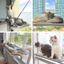 Merkloos Kattenhangmat - Kattenbed - Hangmat Kat Raam Ook Voor Radiator En Deur - Kattenmand Raam En Radiator - Katten Hangmat - Radiatorhangmat Kat Kattenstoel - Tijdelijk Met Extra Hangmat Hoes 21 Merkloos Kattenhangmat - Kattenbed - Hangmat Kat Raam Ook Voor Radiator En Deur - Kattenmand Raam En Radiator - Katten Hangmat - Radiatorhangmat Kat Kattenstoel - Tijdelijk Met Extra Hangmat Hoes -Kattenbenodigdheden 1200x1200 697