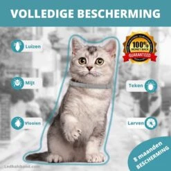Biologische Vlooien- En Tekenband Voor Katten - BLAUW - Zonder Giftige Pesticiden - Veilig En Verantwoord 14 Biologische Vlooien- En Tekenband Voor Katten - BLAUW - Zonder Giftige Pesticiden - Veilig En Verantwoord -Kattenbenodigdheden 1200x1200 7