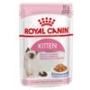 Royal Canin Kitten In Jelly - Kattenvoer - 1020 G 1 Royal Canin Kitten In Jelly - Kattenvoer - 1020 G -Kattenbenodigdheden 1200x1200 72