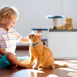 Relaxdays Kattenbak Ombouw - Met Zitkussen - Kattenhuis Wit - Kattenmeubel - Kattenkast -Kattenbenodigdheden 1200x1200 732