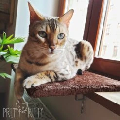 PRETTY KITTY Cat Window Bed 32x41cm: Knuffelig Kattenbed Voor De Vensterbank, Premium Kattenbed Fluffy Voor Het Raam, Vensterbank Kat - Wasbaar, Vensterbank Kat -Kattenbenodigdheden 1200x1200 773