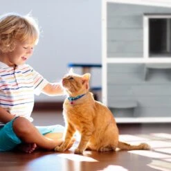 Relaxdays Kattenhuis Buiten - Groot Kattenhok Binnen - Hoog Kattenmeubel Grijs Hout - Tuin -Kattenbenodigdheden 1200x1200 780