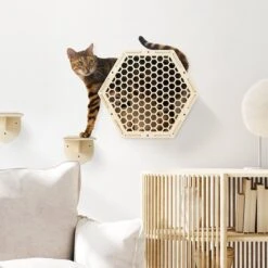 Navaris Katten Klimwand 4-delige Set - Katten Klimmuur Voor Binnenshuis - Kattenmeubel Met Wandmontage - Met Drie Plankjes Voor Meer Klimplezier 13 Navaris Katten Klimwand 4-delige Set - Katten Klimmuur Voor Binnenshuis - Kattenmeubel Met Wandmontage - Met Drie Plankjes Voor Meer Klimplezier -Kattenbenodigdheden 1200x1200 785