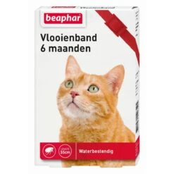 Beaphar Vlooienband Kat - Rood - 1 Stuk -Kattenbenodigdheden 1200x1200 8