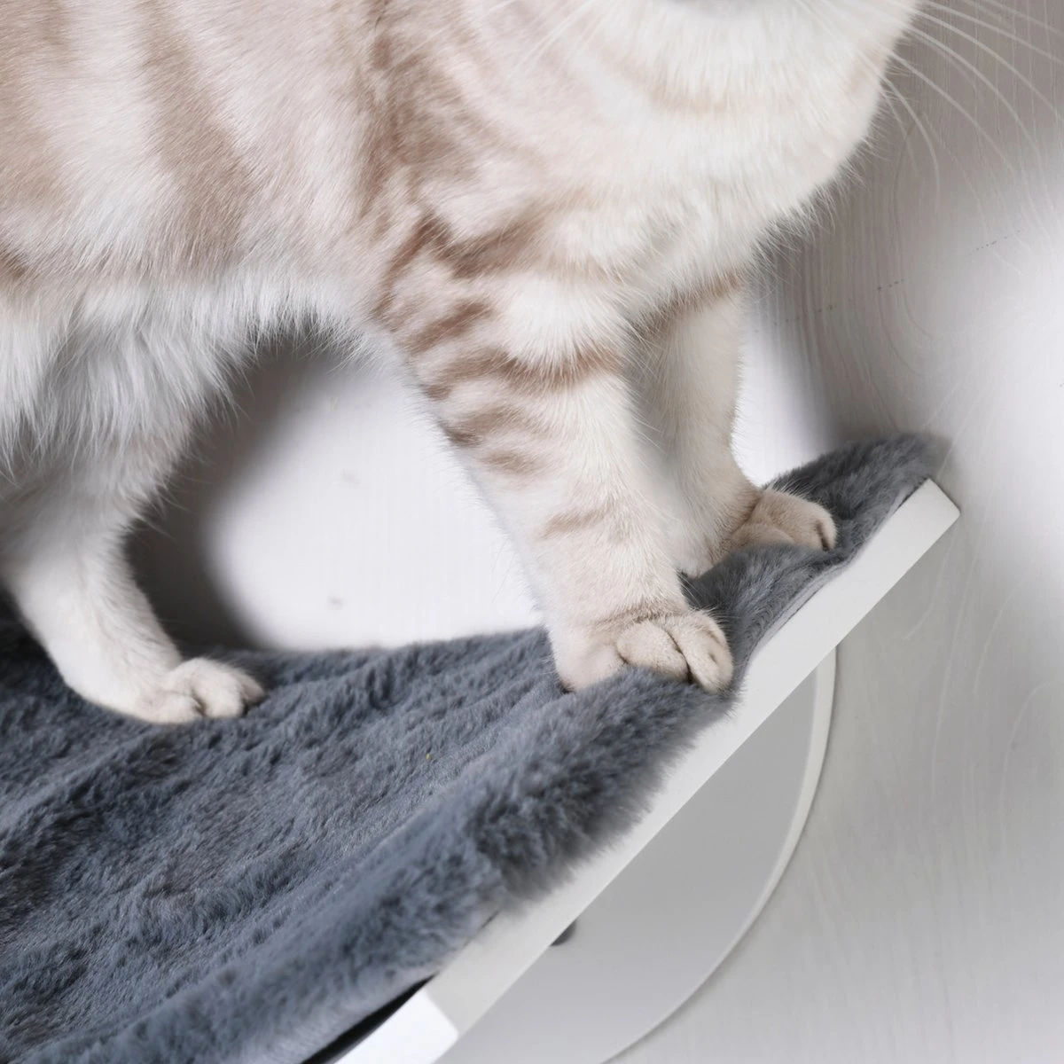 Merkloos Paws And Claws - Cat Shelf – Hangmat Kat – Kattenplank - Kattenbed - Wasbaar – Wandmontage – MDF - Wit 9 Merkloos Paws And Claws - Cat Shelf – Hangmat Kat – Kattenplank - Kattenbed - Wasbaar – Wandmontage – MDF - Wit - Afbeelding 7