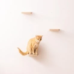 Navaris Katten Klimmuur 3 Tredes - 18 X 18 X 1,5 Cm Per Plankje - Katten Klimwand Van Hout - Inclusief Bevestigingsmateriaal 12 Navaris Katten Klimmuur 3 Tredes - 18 X 18 X 1,5 Cm Per Plankje - Katten Klimwand Van Hout - Inclusief Bevestigingsmateriaal -Kattenbenodigdheden 1200x1200 841