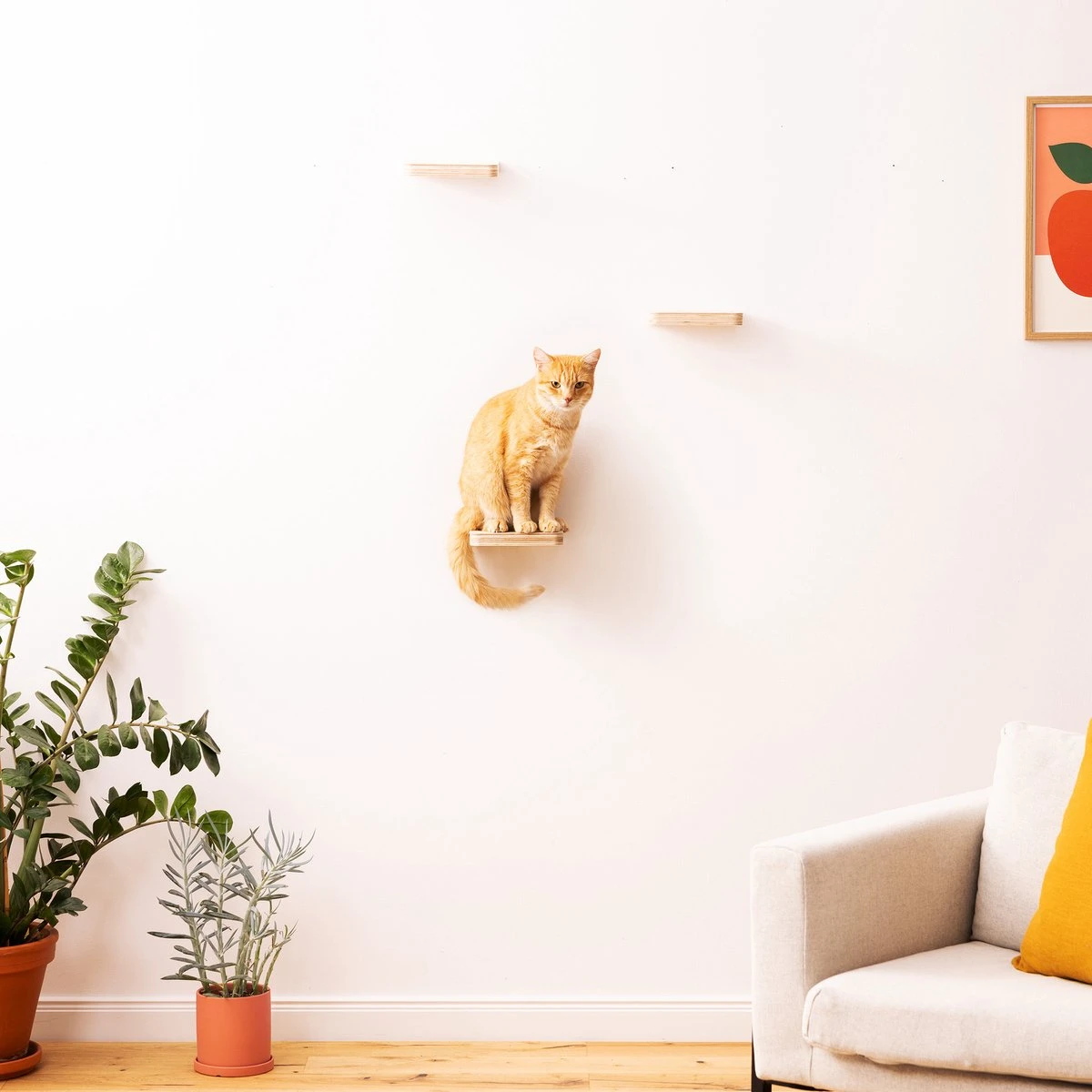 Navaris Katten Klimmuur 3 Tredes - 18 X 18 X 1,5 Cm Per Plankje - Katten Klimwand Van Hout - Inclusief Bevestigingsmateriaal 7 Navaris Katten Klimmuur 3 Tredes - 18 X 18 X 1,5 Cm Per Plankje - Katten Klimwand Van Hout - Inclusief Bevestigingsmateriaal - Afbeelding 6