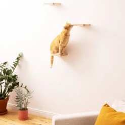 Navaris Katten Klimmuur 3 Tredes - 18 X 18 X 1,5 Cm Per Plankje - Katten Klimwand Van Hout - Inclusief Bevestigingsmateriaal 14 Navaris Katten Klimmuur 3 Tredes - 18 X 18 X 1,5 Cm Per Plankje - Katten Klimwand Van Hout - Inclusief Bevestigingsmateriaal -Kattenbenodigdheden 1200x1200 843