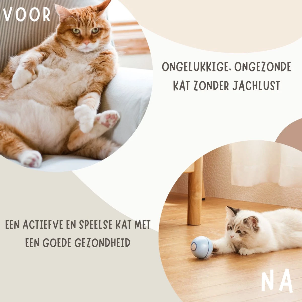 MyBuddy - Interactieve Zelf Rollende Bal - Kattenspeeltjes - Kattenspeelgoed - Bal Voor Katten - LED Lights - Speelgoed - USB - Roze 7 MyBuddy - Interactieve Zelf Rollende Bal - Kattenspeeltjes - Kattenspeelgoed - Bal Voor Katten - LED Lights - Speelgoed - USB - Roze - Afbeelding 5