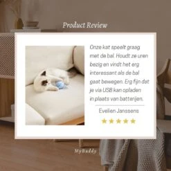 MyBuddy - Interactieve Zelf Rollende Bal - Kattenspeeltjes - Kattenspeelgoed - Bal Voor Katten - LED Lights - Speelgoed - USB - Roze 17 MyBuddy - Interactieve Zelf Rollende Bal - Kattenspeeltjes - Kattenspeelgoed - Bal Voor Katten - LED Lights - Speelgoed - USB - Roze -Kattenbenodigdheden 1200x1200 846