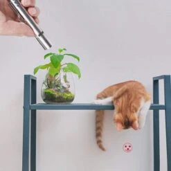 Merkloos Laserpen - Daily Accessoires - USB Oplaadbaar - Kattenspeeltjes - Laserlampje - 7 Verschillende Standen - RVS Zilver - Zaklamp - UV Lamp – Kattenspeelgoed -Kattenbenodigdheden 1200x1200 856