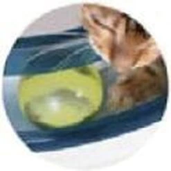Catit Design Senses Play Circuit - Kattenspeelgoed 13 Catit Design Senses Play Circuit - Kattenspeelgoed -Kattenbenodigdheden 1200x1200 859