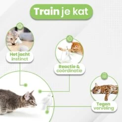 Petgeek Running Smart - Kattenspeeltjes Intelligentie - Kattenspeelgoed - Automatische Bewegingen - Kattenspeeltjes 14 Petgeek Running Smart - Kattenspeeltjes Intelligentie - Kattenspeelgoed - Automatische Bewegingen - Kattenspeeltjes -Kattenbenodigdheden 1200x1200 863