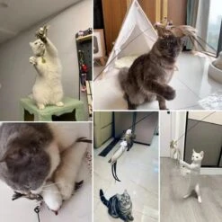 Kattenspeelgoed - Simulatie Vogel - Interactieve Grappige Kattenspeeltjes - Kattenhengel Met Zuignap + 4 Vogels + Een Kattenhengel GRATIS 20 Kattenspeelgoed - Simulatie Vogel - Interactieve Grappige Kattenspeeltjes - Kattenhengel Met Zuignap + 4 Vogels + Een Kattenhengel GRATIS -Kattenbenodigdheden 1200x1200 877