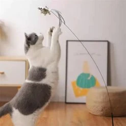 Kattenspeelgoed - Simulatie Vogel - Interactieve Grappige Kattenspeeltjes - Kattenhengel Met Zuignap + 4 Vogels + Een Kattenhengel GRATIS 24 Kattenspeelgoed - Simulatie Vogel - Interactieve Grappige Kattenspeeltjes - Kattenhengel Met Zuignap + 4 Vogels + Een Kattenhengel GRATIS -Kattenbenodigdheden 1200x1200 880