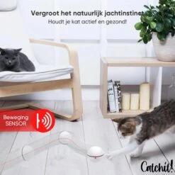 Catchit!® Interactieve Zelfrollende Bal Katten - Kattenspeeltjes - Inclusief USB Kabel En Staartjes - Kattenspeelgoed - Smart - Grijs -Kattenbenodigdheden 1200x1200 882