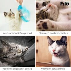 Filo Kattenhengel Set + 12 Kattenspeeltjes – Speelhengels Interactief Kattenspeelgoed – Hengel Kattenspeeltje Kittens - Speelgoed Speelhengel Vis Kat En Kitten 16 Filo Kattenhengel Set + 12 Kattenspeeltjes – Speelhengels Interactief Kattenspeelgoed – Hengel Kattenspeeltje Kittens - Speelgoed Speelhengel Vis Kat En Kitten -Kattenbenodigdheden 1200x1200 889